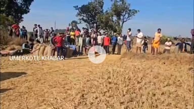 ରାଇଘର: ୯ଏକର ଧାନଗଦା ସହ ଜଳିଗଲା ଟ୍ରାକଟର ଓ ଥ୍ରେସର ମେସିନ୍