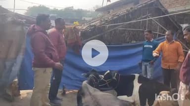 बीरपुर: फजिलपुर-मुरादपुर में खुरपका और मुंहपका रोग से 200 से अधिक पशु संक्रमित, मेडिकल टीम ने किया दौरा