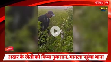 पाटीदारों ने खेत में लगे अरहर के खेती को किया नुकसान, मामला पहुंचा थाना #garhwanews #latestnews