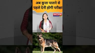 अब कुत्ता पालने से पहले देनी होगी परीक्षा #dog #doglover #shorts #viral #viralshorts #trending