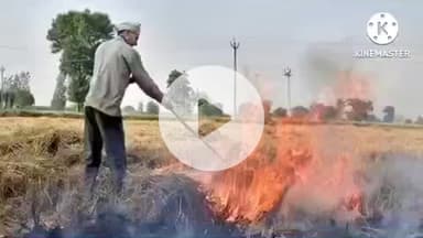 नालंदा: फसल अवशेष प्रबंधन पर सख्त कार्रवाई, 39 किसानों का पंजीकरण रद्द