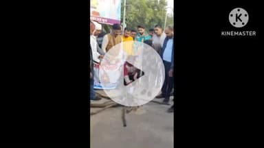 खुरई: शीत लहर में नागरिकों और मुसाफिरों को राहत देने के लिए अलाव की व्यवस्था शुरू, नगर पालिका ने कई स्थानों पर अलाव जलाए