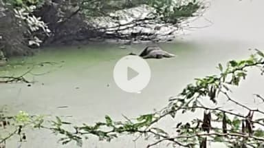 కడప రిమ్స్ వెళ్లే మార్గంలో అనుమానాస్పద స్థితిలో వ్యక్తి మృతదేహం లభ్యం