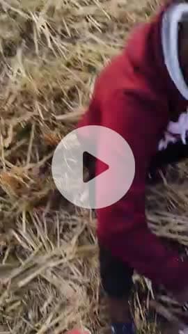 #Latehar लातेहार ज़िला में इतनी ज्यादा ठंडी लग रही की धूप रहते हुए भी आग को गर्मी लेना पड़ रहा है #vishwanathoraon #ltr