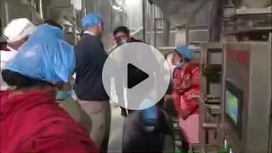 बलरामपुर: डीएम ने स्वयं सहायता समूह द्वारा संचालित बिजलीपुर टीएचआर प्लांट का निरीक्षण किया, व्यवस्था सुधार के लिए दिए अहम निर्देश