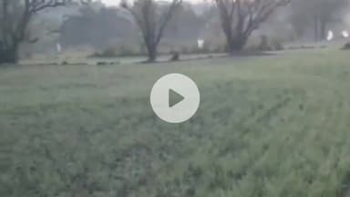 बंगाणा: बंगाणा क्षेत्र में बारिश न होने से गेहूं की फसल पर संकट