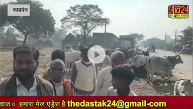 कासगंज जिले के ब्लॉक गंजडुंडवारा क्षेत्र में आवारा पशुओं से किसान हुआ बेहाल