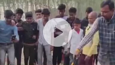 भोरे: कुर्तियां गांव में 15 फीट ऊंचे पेड़ से लिपटे अजगर को वन विभाग की टीम ने किया रेस्क्यू, ग्रामीणों ने ली राहत की सांस