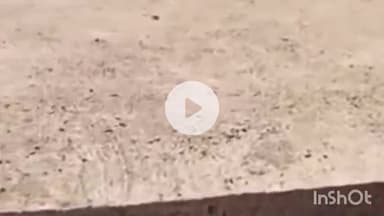 घोड़ाडोंगरी: अनकावाड़ी पंचायत में भ्रष्टाचार का आरोप, ₹5.50 लाख की सड़क पर ग्रामीणों का गुस्सा, घटिया निर्माण की शिकायत