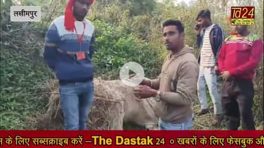 लखीमपुर खीरी क्षेत्र के अंतर्गत मृत गोवंश का बजरंग दल ने किया अंतिम संस्कार