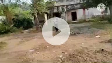 हमीरपुर: छिमौली मार्ग स्थित कांशीराम कॉलोनी आवासों में किरायदारों और पार्क के अतिक्रमण को लेकर सभासद ने दी तहरीर