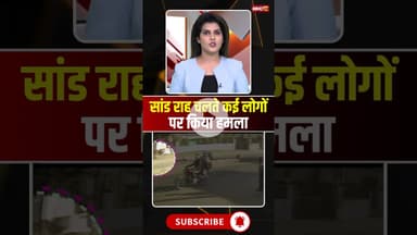 सांड राह चलते कई लोगों पर किया हमला #mpnews #chhindwara #saand #bull #viralvideo