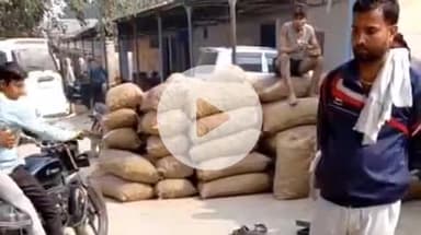 फर्रुखाबाद: एशिया की सबसे बड़ी सातनपुर आलू मंडी में करीब 20,000 पैकेट आलू की हुई आवक, आलू का भाव ₹351-₹451 प्रति पैकेट