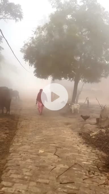 परिहार: परिहार में पछुआ हवा और कोहरे से बढ़ी ठंड, जनजीवन प्रभावित