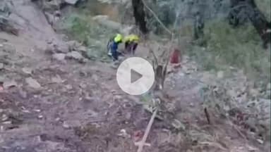 बेतालघाट: भवाली अल्मोड़ा नेशनल हाईवे पर भवाली के डाका रोली के पास खाई में गिरने से अल्मोड़ा में तैनात एक हेड कांस्टेबल की हुई मौत