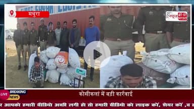 पुलिस–एसटीएफ की संयुक्त कार्रवाई में अंतर्राज्यीय गांजा तस्कर गिरफ्तार: भारी मात्रा में गांजा बरामद