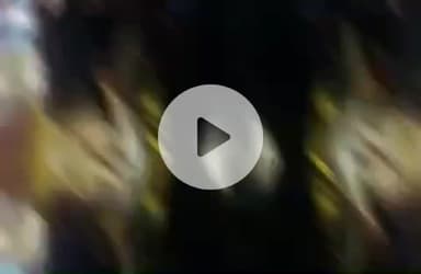 करछना: मछुआ गांव के सामने कार और ट्रैक्टर ट्राली की भिड़ंत में कार सवार कई लोग हुए घायल