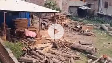 रक्सौल: रक्सौल के कोड़ीहार चौक के पास महाबीर नगर वार्ड 19 में चल रहे चिरान मिल पर कार्रवाई हेतु दिया आवेदन