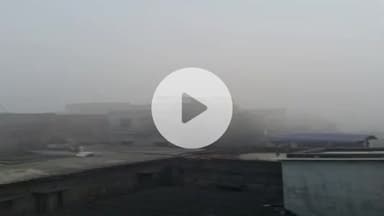 बेलसंड: बेलसंड में दिखा ठंड का असर, पहली बार छाया घना कोहरा, वीडियो आया सामने