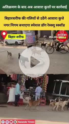 बिहारशरीफ में अतिक्रमण के बाद अब आवारा कुत्तों 🐕 पर कार्रवाई, आवारा कुत्तों का सड़कों पर भौंकता खतरा कम होगा #Nalanda