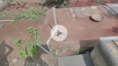 சூலூர்: சூலூர் பகுதியில் மின்சாரம் தாக்கி சிறுமி உயிர் இழப்பு வீட்டின் உரிமையாளர் மீது புகார்