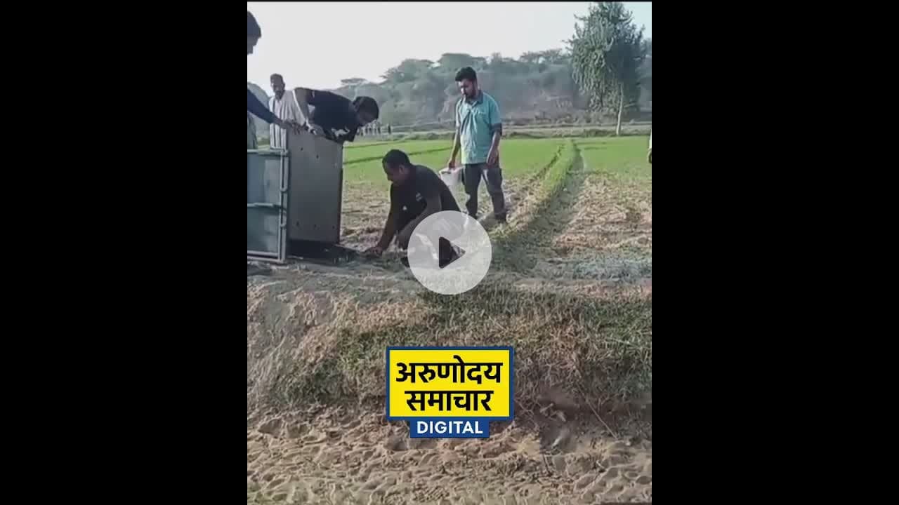 आगरा:निबोरा क्षेत्र में घायल हयाना का वाइल्डलाइफ़ एसओएस टीम ने किया रेस्क्यू #wildlife #wildanimals