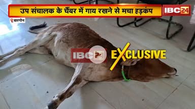 Khargone News : पशु चिकित्सक पर भड़के गौ-रक्षक। बीमार गायों का समय पर इलाज नहीं करने पर भड़के