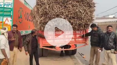 करनैलगंज: गोंडा में एआरटीओ ने सड़क सुरक्षा अभियान चलाया, रिफ्लेक्टिव टेप न होने पर वाहनों पर की कार्रवाई