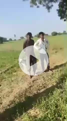 Madh#ya Pradesh ke Chhatarpur jile ki live ghatna gehun mein cut off dawai dalne se gehun jal ke rakh Ho Gaya #Patha