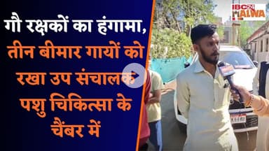 गौ रक्षकों का हंगामा, तीन बीमार गायों को रखा उप संचालक पशु चिकित्सा के चैंबर में | Khargone News