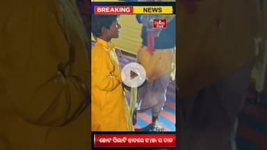 ଛୋଟ ପିଲାଟି ହାତରେ ଝ।ଞ୍ଜ ର ତାଳ #jindabadniali #viralreel #viralvideo