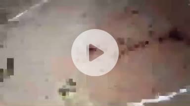 बुलंदशहर: गुलावठी पुलिस की शातिर गौकश गैंगस्टर बदमाशों से मुठभेड़, 2 बदमाश घायलावस्था में गिरफ्तार, अवैध असलहा व कारतूस बरामद