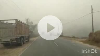 सौर बाज़ार: सौरबाजार प्रखंड में हड्डी कंपा देने वाली पछुआ हवाओं का कहर, सुबह 10 बजे तक सड़कों पर छाया रहा कुहासा