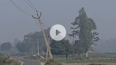 परिहार: भवानीपुर-रामनेका मार्ग पर जर्जर पोल से खतरा, कभी भी गिर सकता है