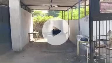 दतिया नगर: चिरुला थाने के पास अज्ञात ट्रक की टक्कर से ट्रक कंडक्टर की मौत, पोस्टमार्टम के लिए परेशान हुए परिजन