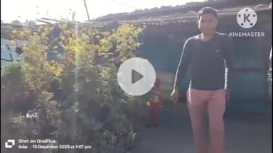 घाघरा: मलगो गांव में एक व्यक्ति ने फांसी लगाकर की आत्महत्या, पुलिस ने शव को पोस्टमार्टम के लिए गुमला भेजा