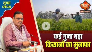 'काजरी' ने बदली खेती की दिशा, किसानों की आमदनी कई गुना बढ़ी | Sujas Special | Sujas Samachar
