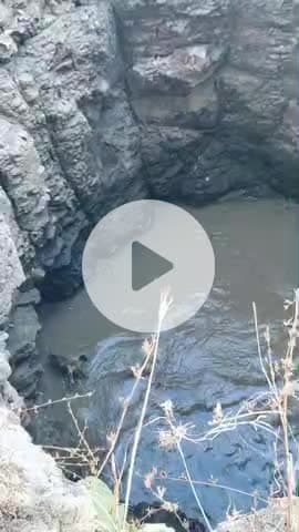 sirpoi gujaran mei kuye mei nilgaye ka reskyu duwara jan bachai