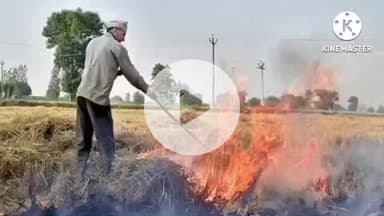 परवलपुर में पराली जलाने पर सख्त कार्रवाई, दोषी किसानों का डीबीटी पंजीकरण रद्द होगा