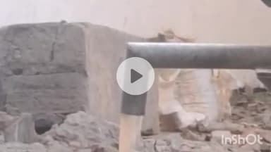 नगर नौसा: नगरनौसा प्रखंड के महमदपुर गांव के मध्य विद्यालय में चापाकल से 2 महीने से निकल रहा गंदा पानी