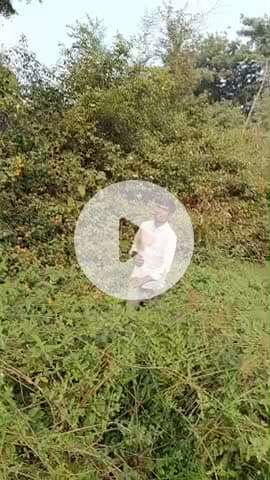 my village life style#Khushi com@