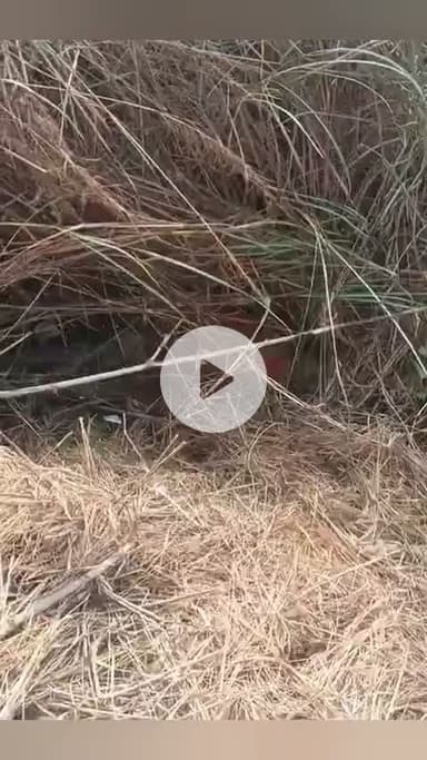 नानपुर: नानपुर के बिरार गांव में गड्ढे से लापता वृद्ध का शव मिला