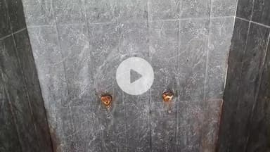 लोहाघाट पालिका कार्यालय के सामने मूत्रालय से पाट व पाइप गायब गंदगी का अंबार स्वच्छता के दावे हवा हवाई