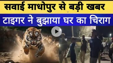 पैंथर का कहर: 7 साल के मासूम को बनाया निशाना, इलाके में दहशत ।