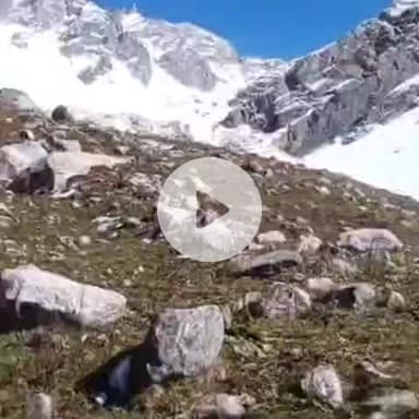 टापरी: किन्नौर के युला कंडे में हुई बर्फबारी, तस्वीरें आई सामने, स्थानीय पंचायत व कमेटी ने लोगों से सफर न करने का किया आग्रह