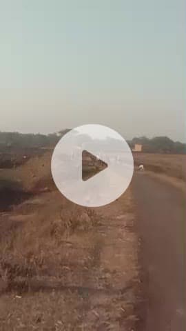 @मैं तो की कला और खुर्द के बच्चों में हुई तगड़ी लड़ाई लड़ाई के सॉन्ग पत्थर बाजी कैप्टन दोनों कप्तान घायल@ करके पैसे नादि