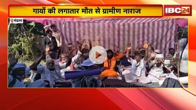 Mandla News : भूख हड़ताल पर बैठे ग्रामीण | गौशाला में बदहाली, गायों की लगातार मौत से नाराज ग्रामीण