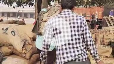 फर्रुखाबाद: एशिया की सबसे बड़ी सातनपुर आलू मंडी में करीब 30,000 पैकेट आलू की हुई आवक, आलू का भाव ₹350-₹450 प्रति पैकेट रहा