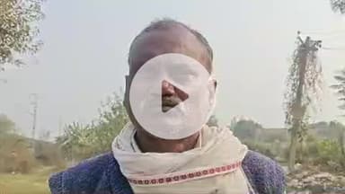 करछना: महेवा गांव में बिजली करंट की चपेट में आने से दो बेजुबान जंगली जानवरों की मौत, एक ग्रामीण घायल