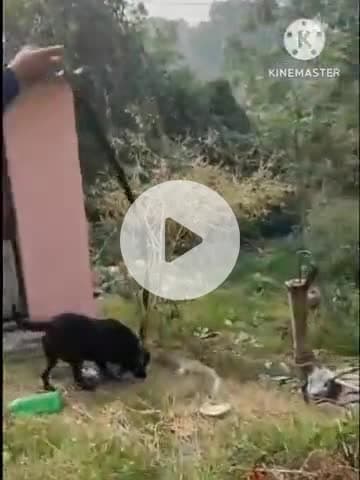 पटेढ़ी बेलसर: अफजलपुर गांव में चोरों ने एक बंद घर में की चोरी